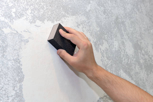 Best Industrial Mold Remediation  in Toccoa, GA
