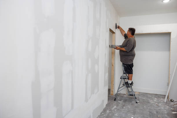 Best Biohazard Mold Removal  in Toccoa, GA