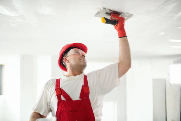 Mold Odor Removal Services in Toccoa, GA