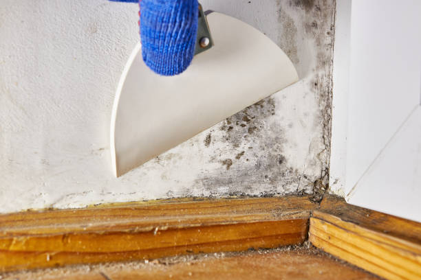 Best Indoor Air Quality Assessment  in Toccoa, GA