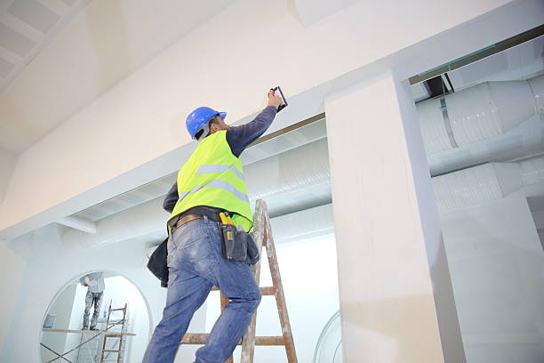 Best Airborne Mold Testing  in Toccoa, GA
