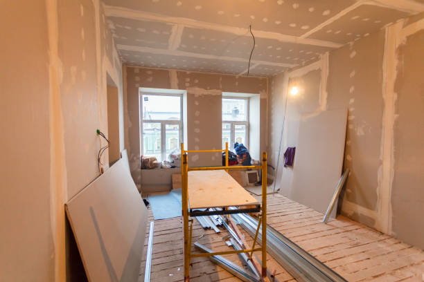 Reliable Toccoa, GA Mold Removal Solutions